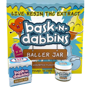 BASKIN DABBINS