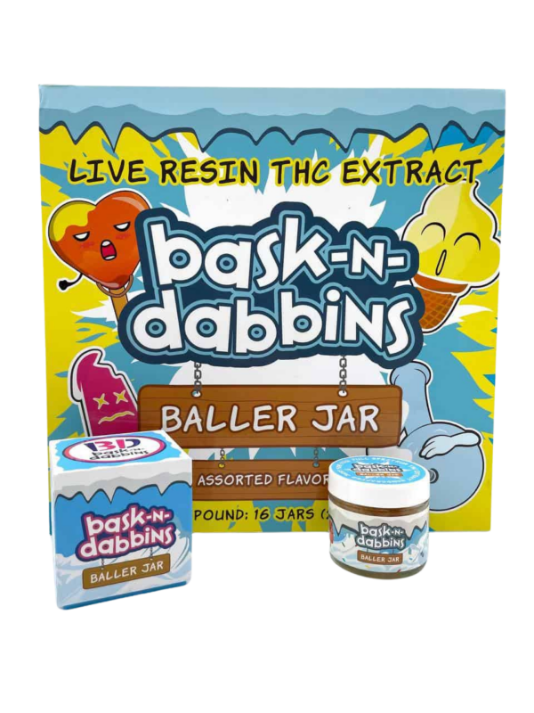 BASKIN DABBINS