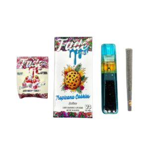 FADE 2G DISPO V3 – 2