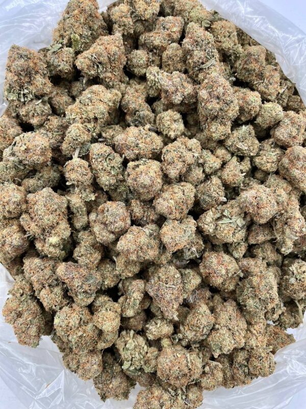 CLEMENTINE PUNCH - HB717CP