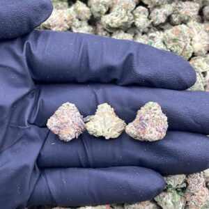 FRUIT SNACKS - LK720FS