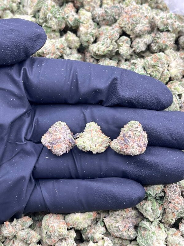 FRUIT SNACKS - LK720FS