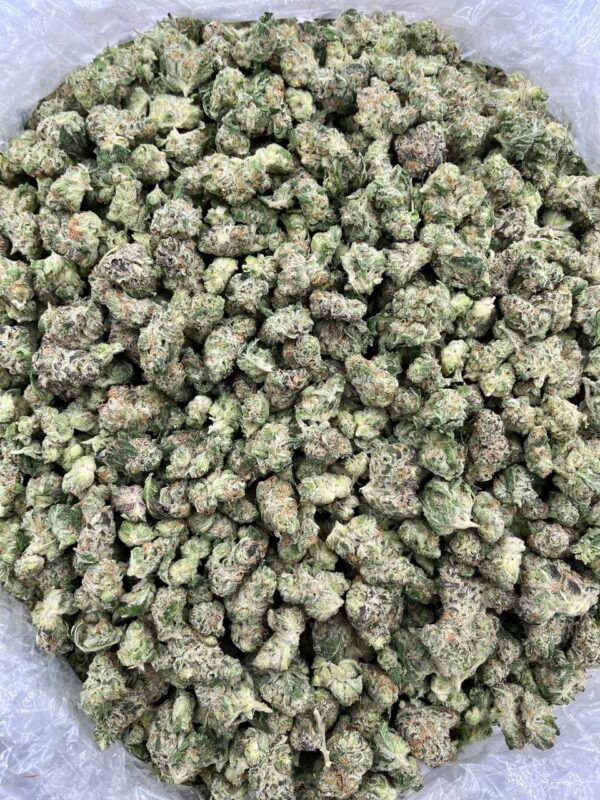 FRUIT SNACKS - LK720FS