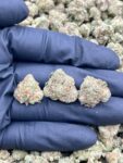 ICE SUNDAE - LK720IS
