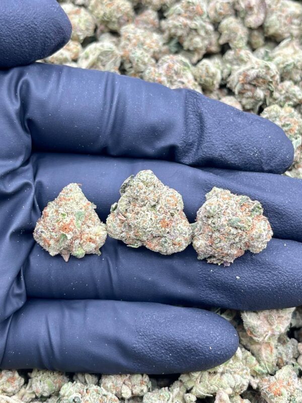 ICE SUNDAE - LK720IS