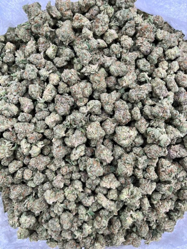ICE SUNDAE - LK720IS