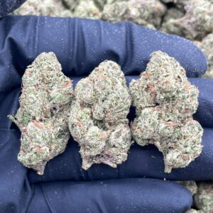 PISTACHIO CREAM GELATO - LK720LO