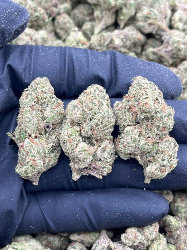 PISTACHIO CREAM GELATO - LK720LO