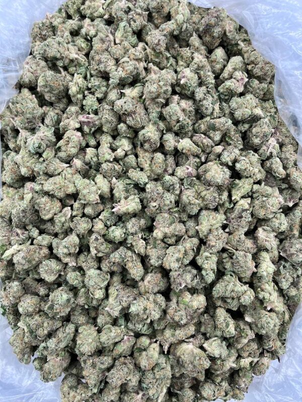 MARSHMALLOW SUGAR - LK720MS