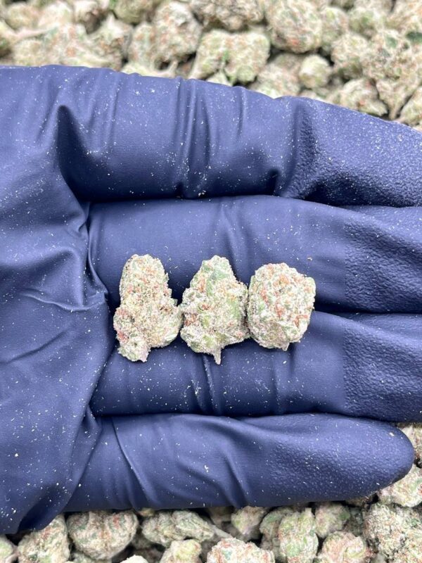 PINK ENERGY - LK720PE