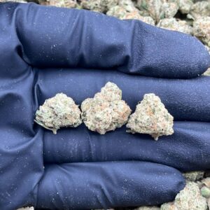 ROCKY ROAD - LK720RD