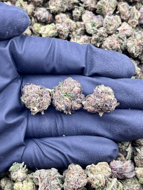 ZAPPLE PIE - LK720ZA