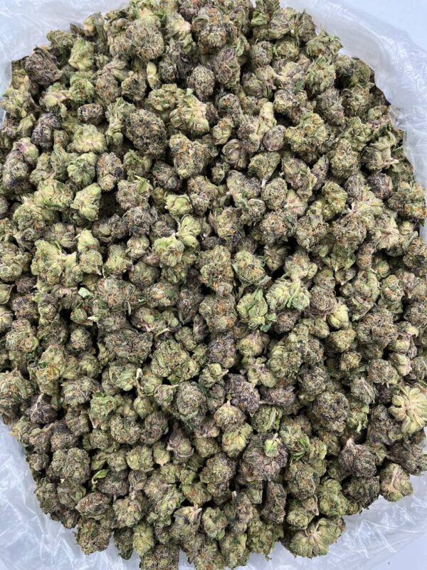 ZAPPLE PIE - LK720ZA