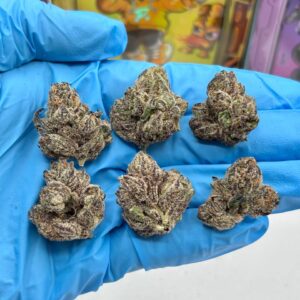POTENT FLOWER – 2