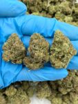 CHUNKY MONKEY - BREAKDOWN - RC701IC
