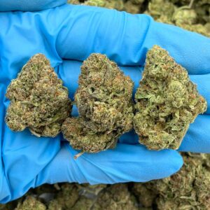 CHUNKY MONKEY - BREAKDOWN - RC701IC