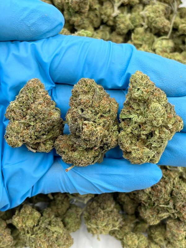 CHUNKY MONKEY - BREAKDOWN - RC701IC