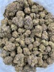 SUGAR COOKIES - BREAKDOWN - RC701PL