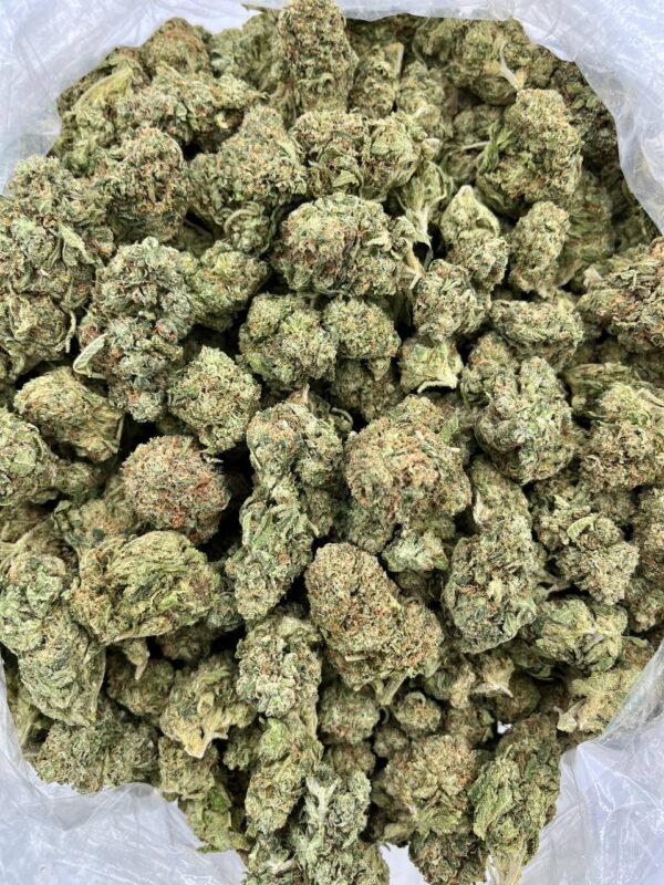 WHITE GRAPEFRUIT - TY713CG