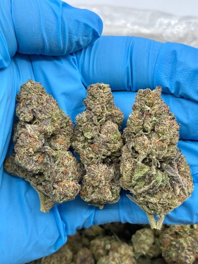 ANIMAL COOKIES - AL514AC