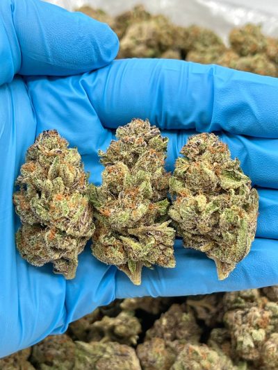 PINK COOKIES - JL512PC