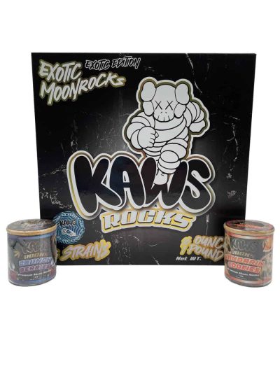 KAWS EXOTIC MOONROCKS data-visibility="visible"