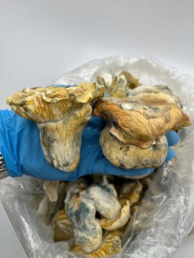 ICEBERG - UN520IB - Ounce